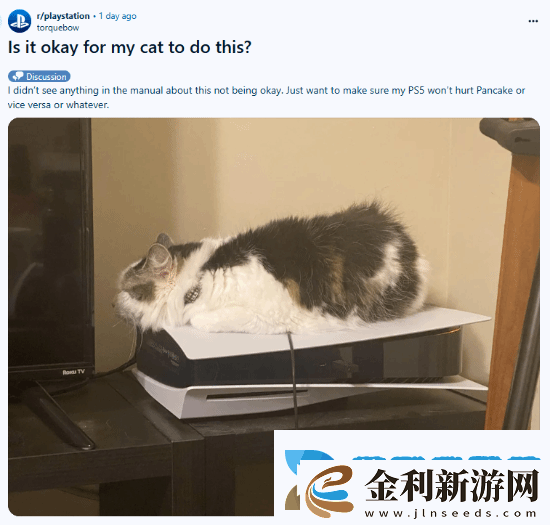 貓貓趴在PS5上不愿離開！玩家