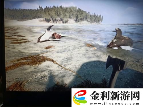森林之子繩子怎么找