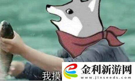 摸魚帶師是什么梗網絡用語