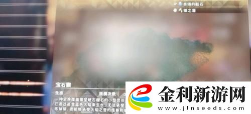 狂野之心類猿的臟石怎么獲得