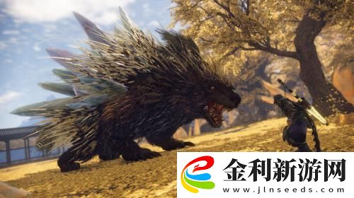 狂野之心武器種類大全介紹