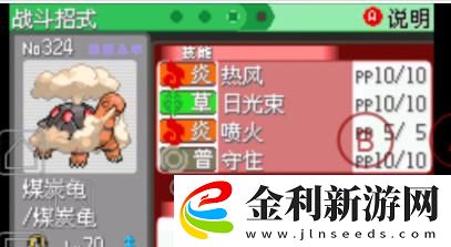 究極綠寶石5.4晴天隊(duì)最強(qiáng)陣容