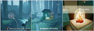 光遇2.8每日任務攻略一覽
