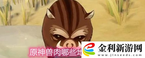 原神獸肉最佳獲取地點分享
