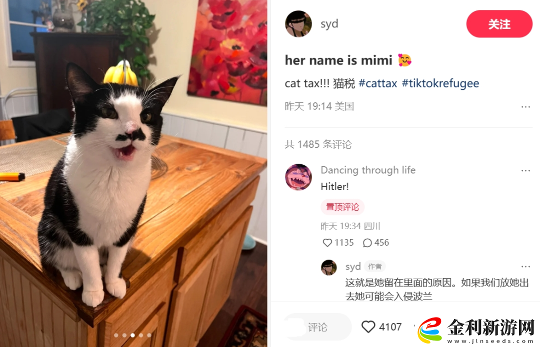 洋人涌入小紅書