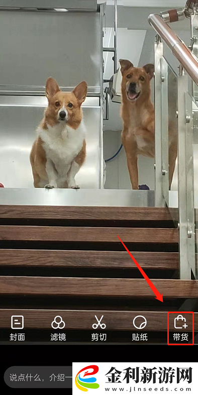 拼多多視頻怎么帶貨