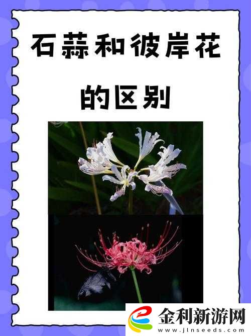 妄想山海彼岸花究竟隱藏何處