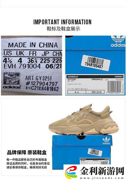三葉草gy3251深度解析