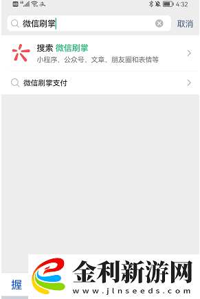 微信怎么刷掌支付
