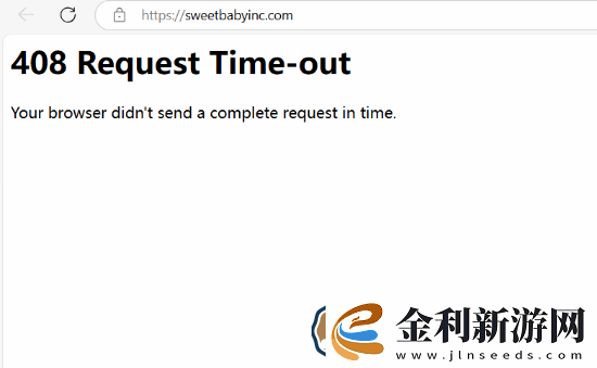 外網玩家為SBI官網無法訪問叫好