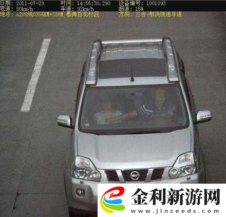 中國東北地區BBW現象背后的社會問題探討