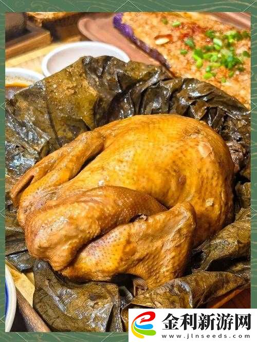 我的俠客叫花雞如何獲取