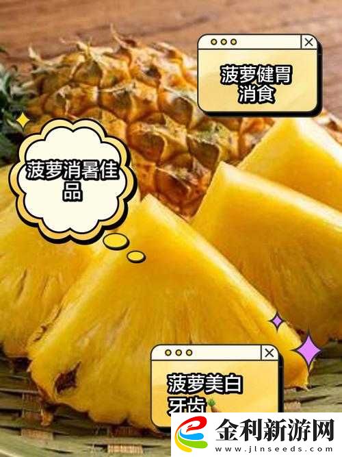 福建導航福建大菠蘿2024是什么