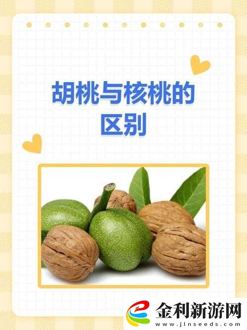 胡桃和核桃的區(qū)別圖片詳解