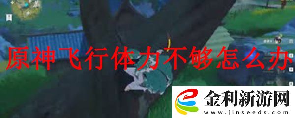 原神體力不夠的解決方法