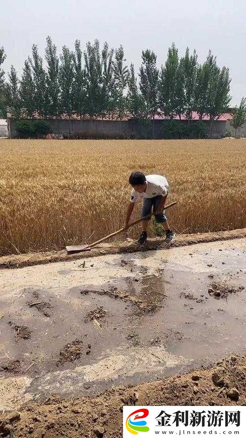 兒子代耕母親的田地