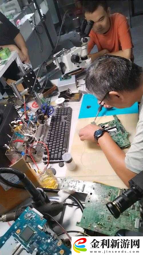 哪里可以看到