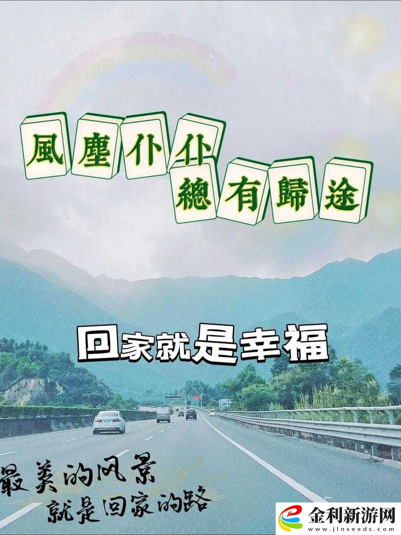 今日看料