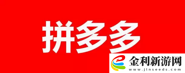 拼多多怎么看總共消費(fèi)多少錢2023