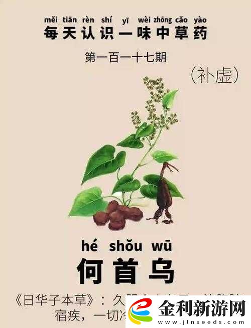 江湖悠悠