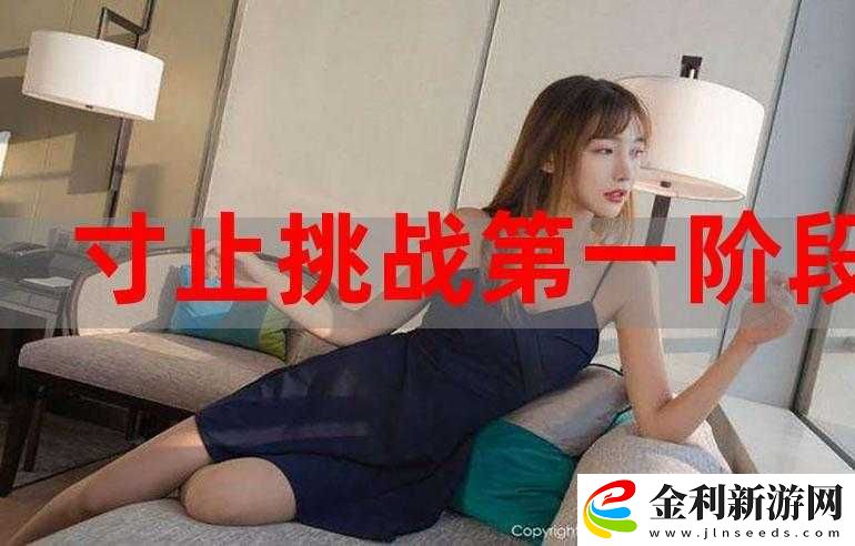 寸止挑戰