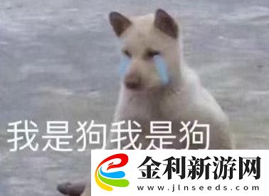 cwm小國際是什么梗絡用語