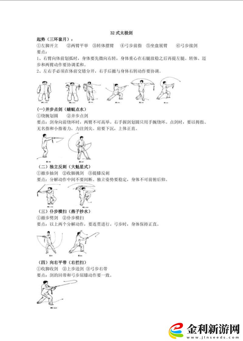 我的俠客游戲中太極劍法高效搭配與策略全解析攻略