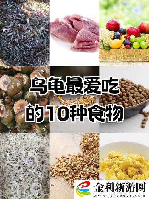 旅行青蛙游戲中蝸牛、蜜蜂及烏龜偏好食物全面解析