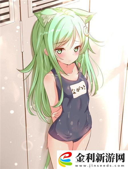 三葉草M碼和歐洲碼的對比