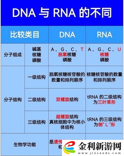 歐洲人和亞洲人