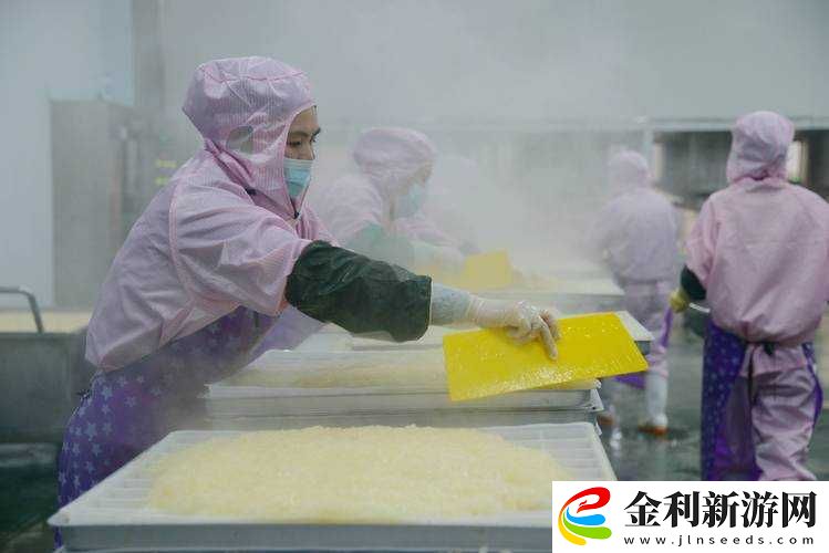 九幺果凍制品廠