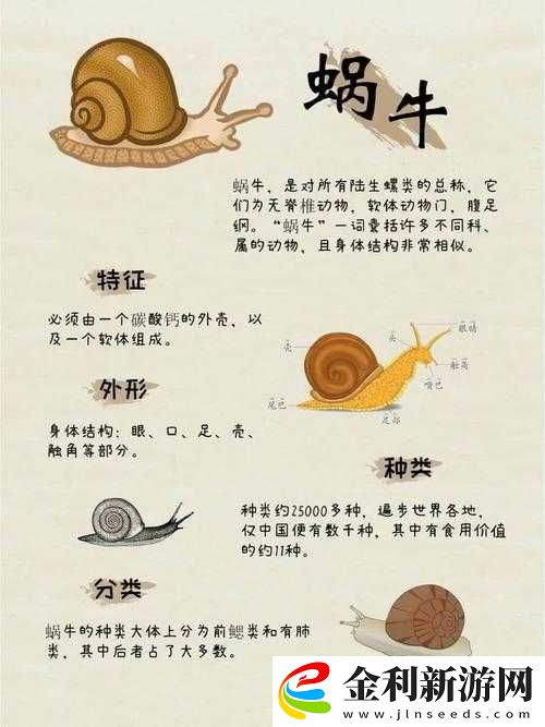 最強蝸牛廣告拼圖究竟需多少次