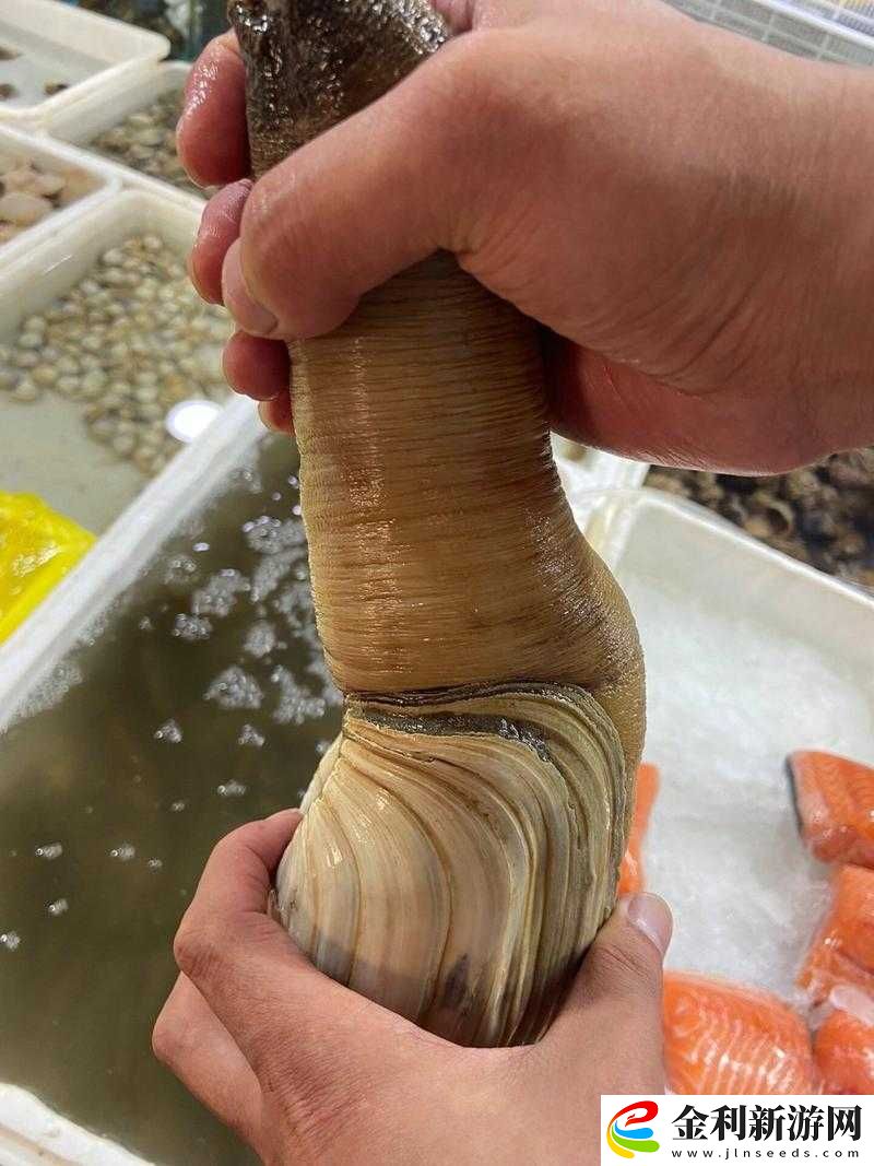 蚌肉里類似泥的東西到底是什么