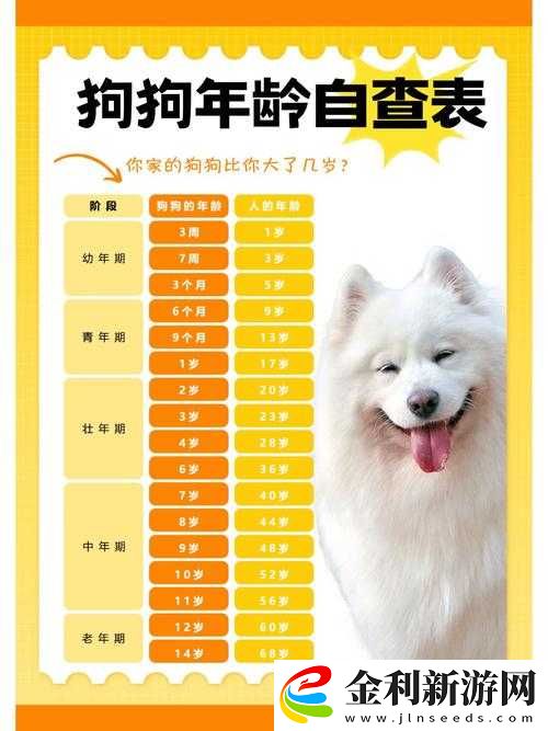 狗狗和人咬配方大全高清下載