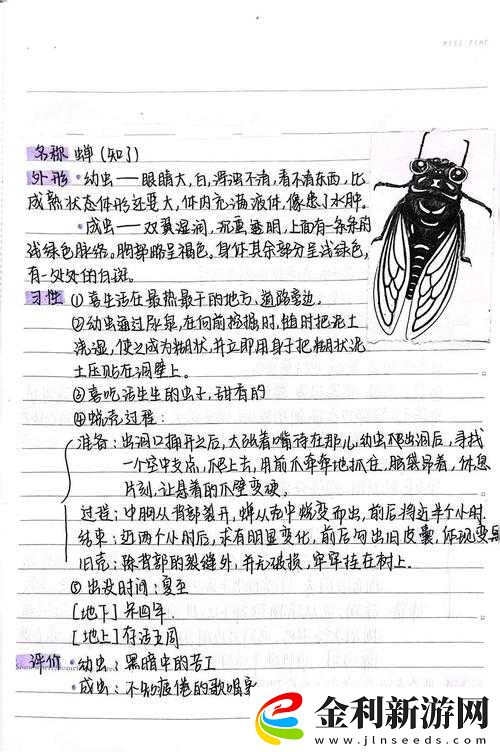 悠長假期如何高效捕蟬