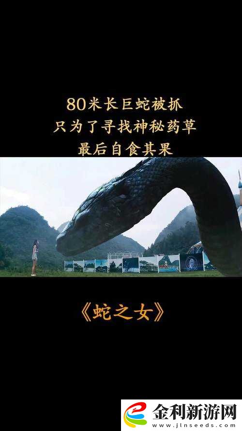下一站江湖通天草何在