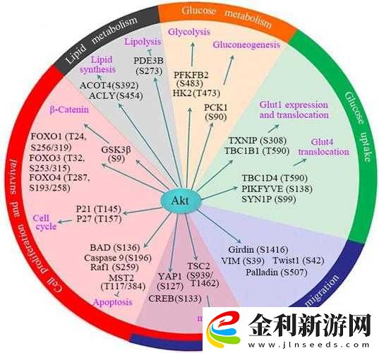 請問外網總站