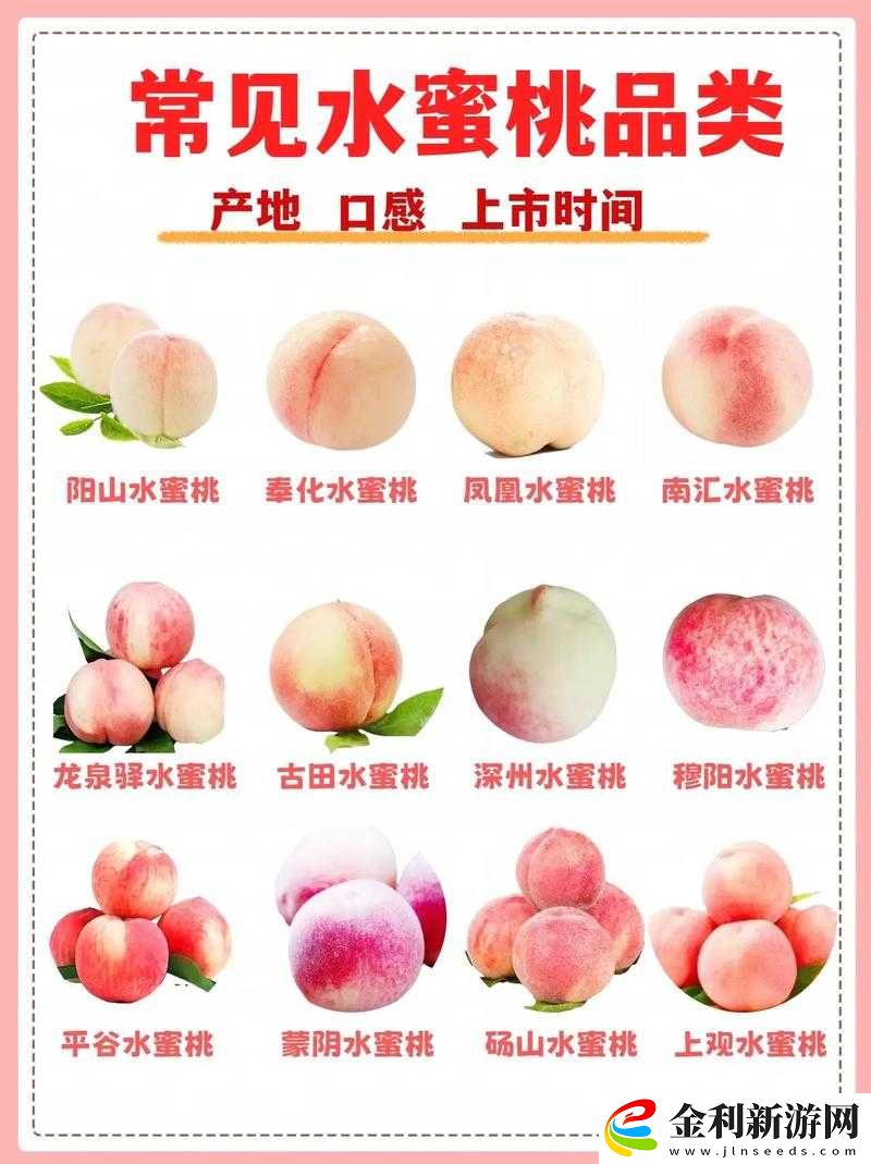 為什么國精產品水蜜桃網站如此受歡迎