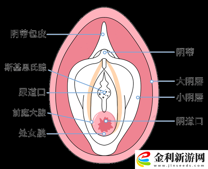第一次開女處是什么感覺
