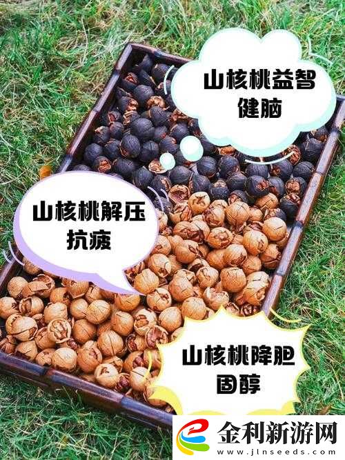 山胡桃的功效與作用及禁忌