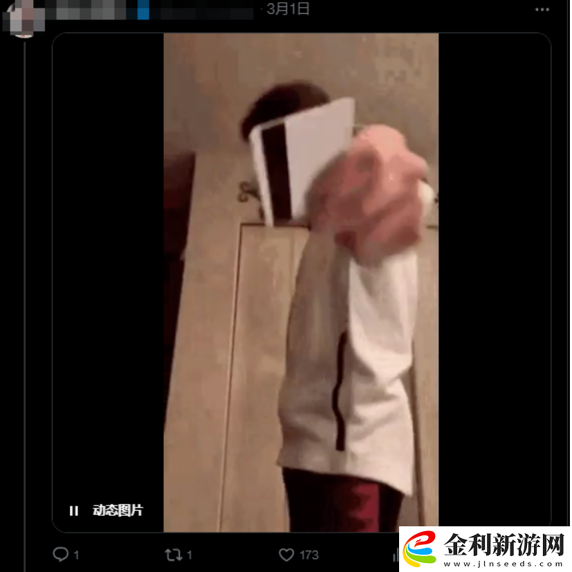 大乃子有沒有錯