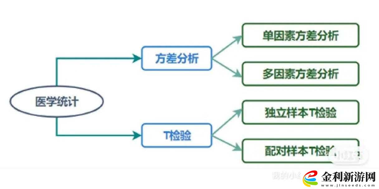 津影通T類有哪些最新功能