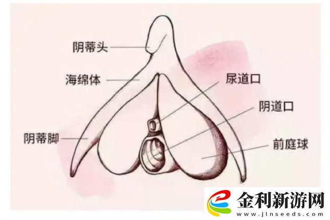 大蔭蒂BBBBBB大蔭蒂