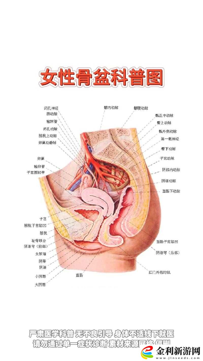 女人身體的三個(gè)階段