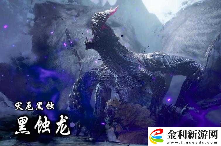 怪物獵人崛起災禍之布怎么獲得