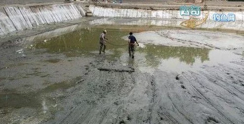 黑色沙漠手游釣魚秘籍