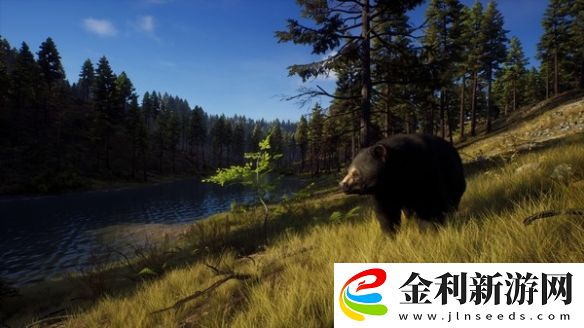 獵人之路什么時候出