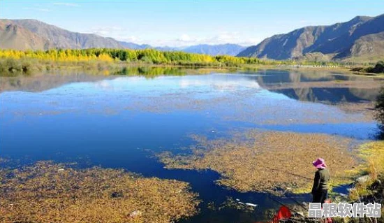 黑色沙漠手游釣魚秘籍