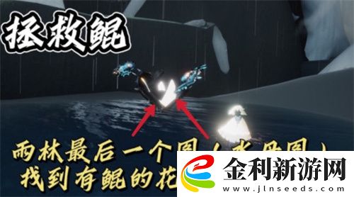 光遇1.5任務怎么完成