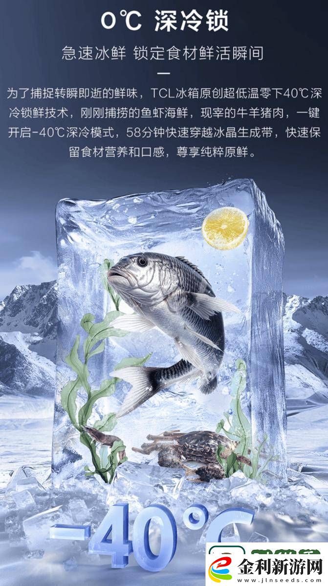 TCL冰麒麟深冷冰箱